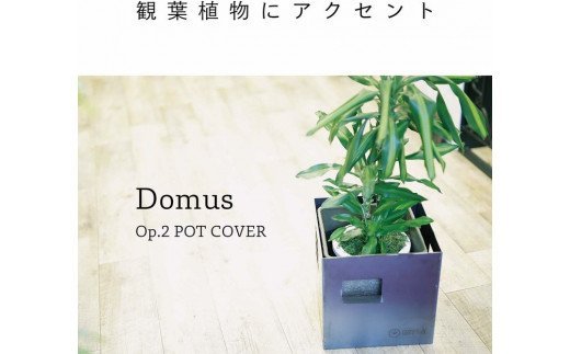 GRAVIRoN Domus Op.2 Pot Cover 黒皮鉄 300mm角（鉢カバー）