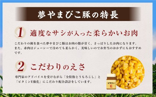 幸田町産「夢やまびこ豚」厳選バラエティパック 4種類 1kg (ロース・バラ・ヒレ・小間切れ) 