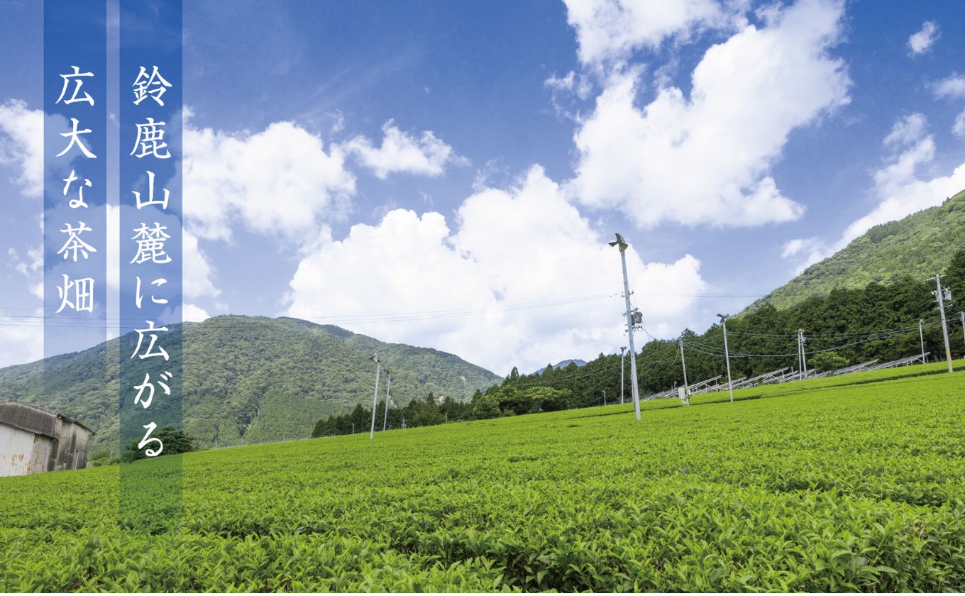 お抹茶　泗翠（30g×3缶セット）萩村製茶【 抹茶 お抹茶 お茶 茶 伊勢茶 茶道 飲料 自分用 家族用 イベント用 ギフト プレゼント 贈答 贈答用 三重県 三重 四日市市 四日市 四日市市ふるさと納税 四日市ふるさと納税】