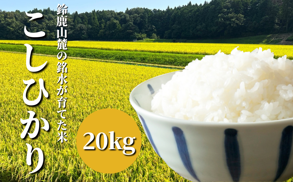 【令和6年度】新米 こしひかり 20kg  鈴鹿山麓の銘水が育てた米、米どころ三重県産小山田地区「こしひかり」20kg