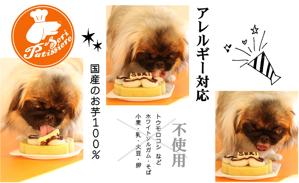 犬用ケーキ・アレルギーフリーDecoパウ・獣医師監修