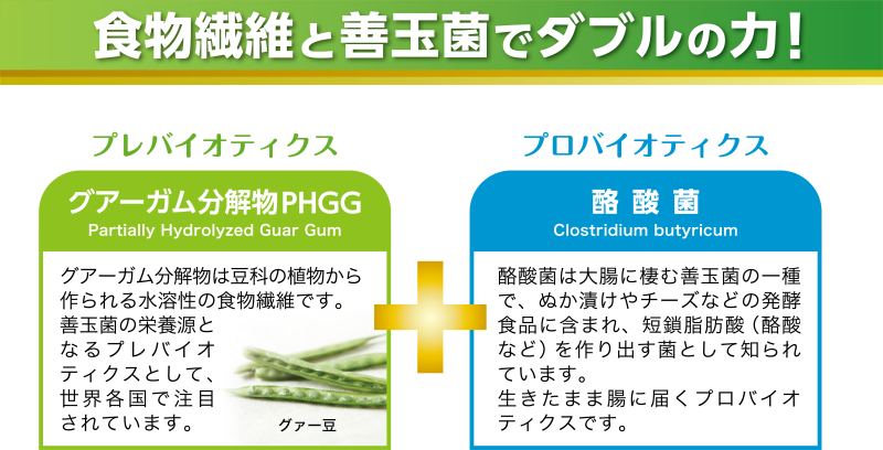 サンファイバープラス【スティック】6ｇ×30包　239794 シンバイオティクス 水溶性食物繊維 酪酸菌 医療 介護 安心 無味無臭