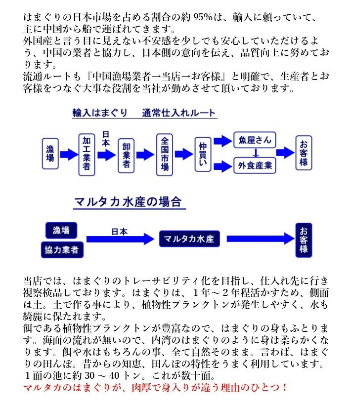 三重県・畜養はまぐり　3kg　＜ ハマグリ お吸い物に、焼き蛤！＞はまぐり ハマグリ 蛤