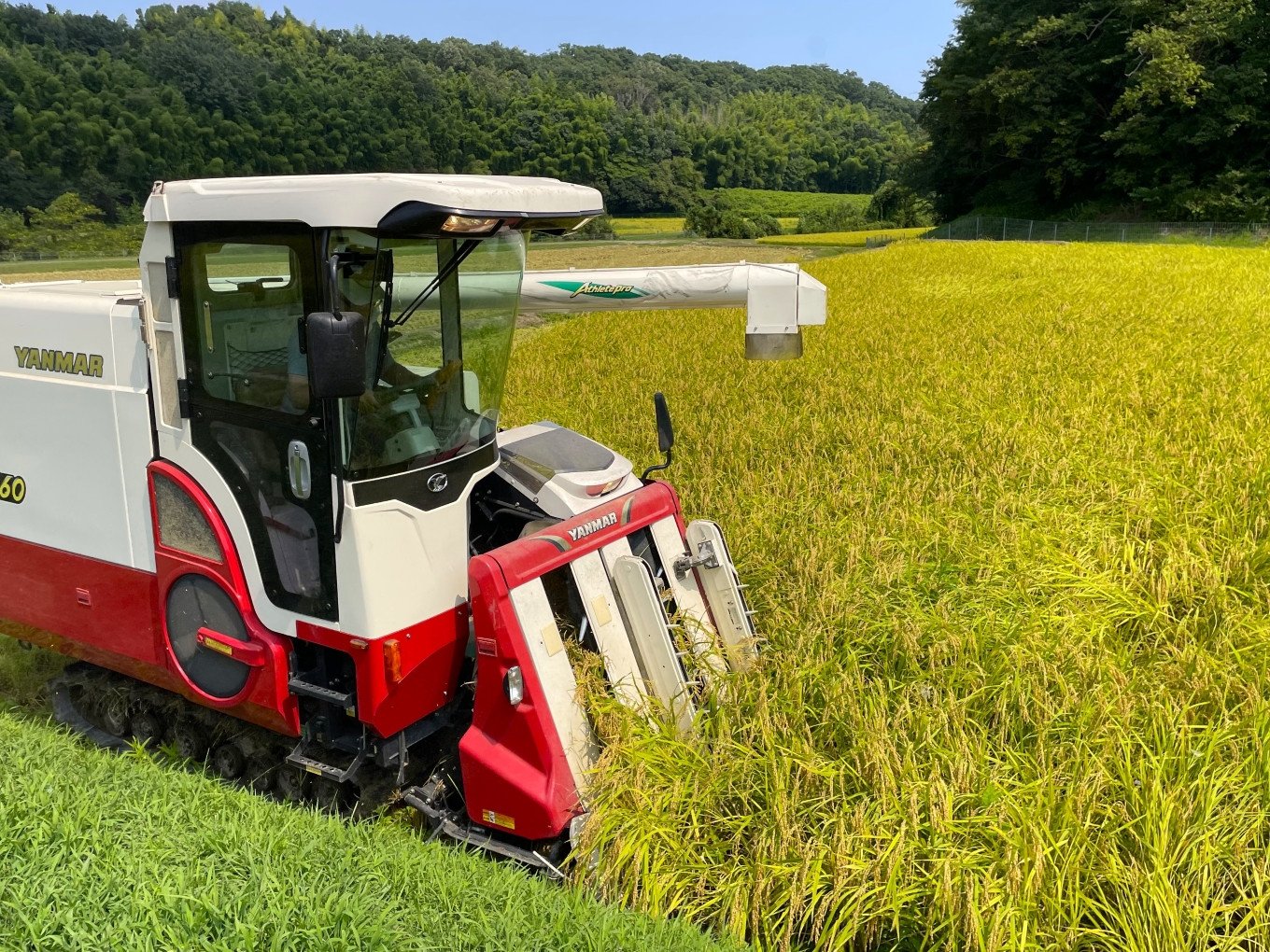 ＜定期便＞新米 きぬひかり 5kg 鈴鹿山麓の銘水が育てた米、米どころ三重県産小山田地区「きぬひかり」5kg【12ヶ月】