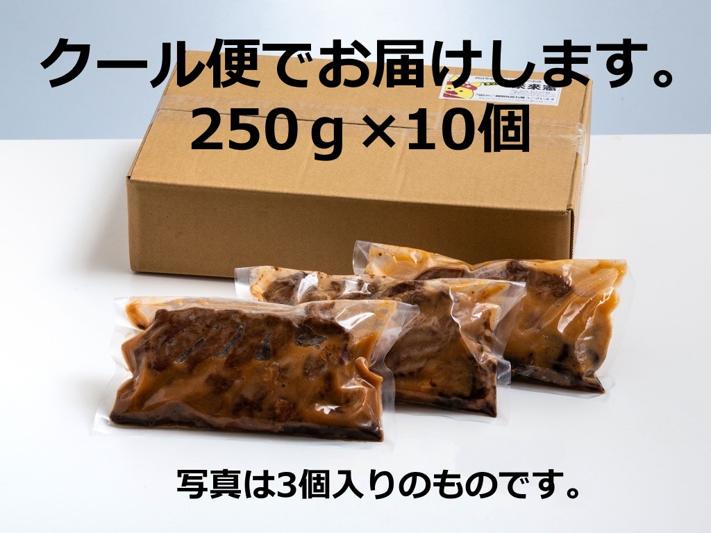 TV番組で紹介多数！「まつもとの来来憲」の元祖・四日市名物 大とんてき　10個