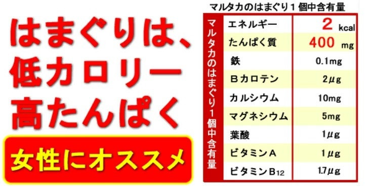 三重県・畜養はまぐり　2kg　＜ ハマグリ お吸い物に、焼き蛤！＞はまぐり ハマグリ 蛤