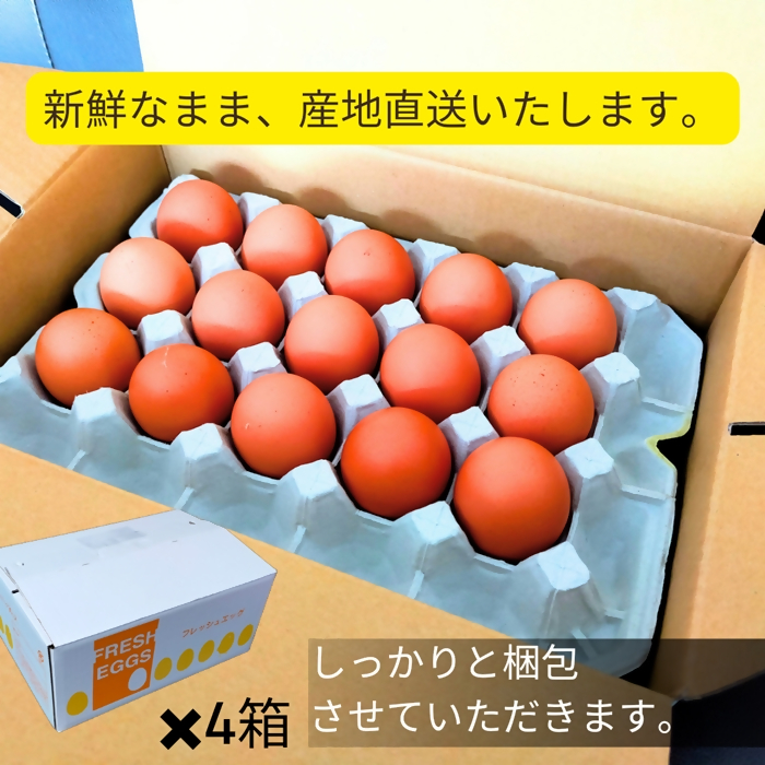 1522 こだわり 自慢のたまご 美食卵 120個 伊勢産 野呂養鶏場 ふるさと納税 玉子 国産 新鮮 濃厚 たまご 卵 生卵 とれたて 卵かけごはん TKG お取り寄せ グルメ 伊勢志摩 三重県 伊勢市