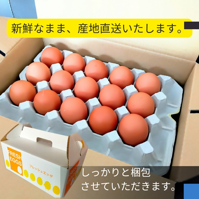 1520 こだわり 自慢のたまご 美食卵 30個 伊勢産 野呂養鶏場 ふるさと納税 玉子 国産 新鮮 濃厚 たまご 卵 生卵 とれたて 卵かけごはん TKG お取り寄せ グルメ 伊勢志摩 三重県 伊勢市