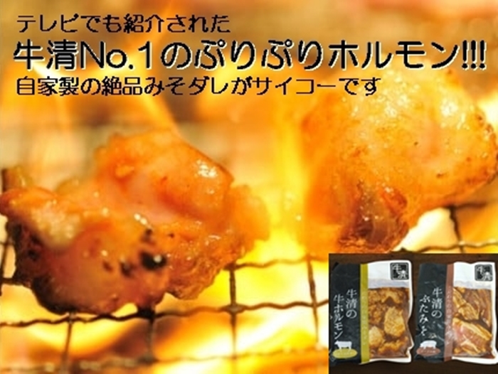 1504　自家製 みそダレ Aセット 牛 ホルモン 200ｇ×１ 豚肉×１/ 黒毛和牛ホルモン 牛清 バーベキュー BBQ キャンプ 牛肉 ぶた肉 特製 味噌漬 味付 大人気 伊勢志摩 三重県 伊勢市