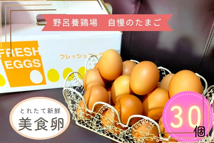 1520 こだわり 自慢のたまご 美食卵 30個 伊勢産 野呂養鶏場 ふるさと納税 玉子 国産 新鮮 濃厚 たまご 卵 生卵 とれたて 卵かけごはん TKG お取り寄せ グルメ 伊勢志摩 三重県 伊勢市