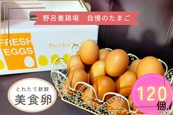 1522 こだわり 自慢のたまご 美食卵 120個 伊勢産 野呂養鶏場 ふるさと納税 玉子 国産 新鮮 濃厚 たまご 卵 生卵 とれたて 卵かけごはん TKG お取り寄せ グルメ 伊勢志摩 三重県 伊勢市