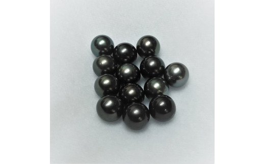 751　タヒチ黒本真珠ブローチ(Ａ)ＳＶ製