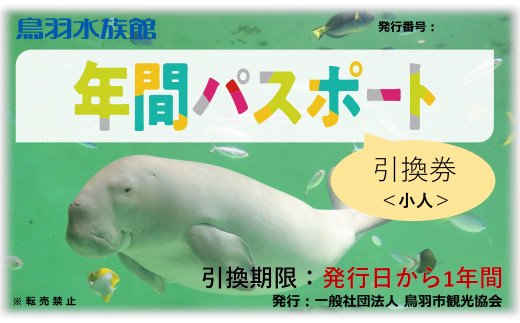 17-05鳥羽水族館 年間パスポート 小人