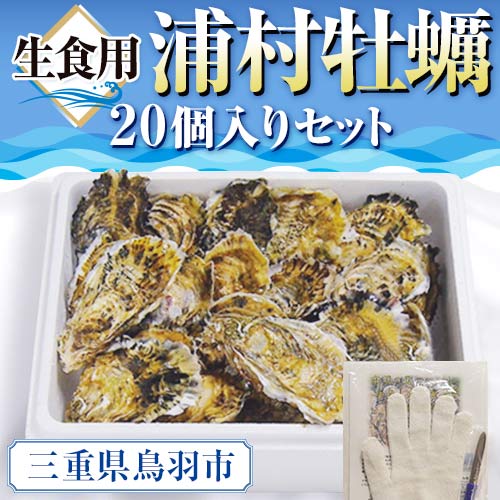 I-55生食用浦村牡蠣２０個入りセット