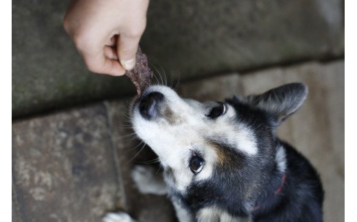 GJ-06 【愛犬用】伊勢の鹿 ジャーキー（スペシャルセット） | おやつ