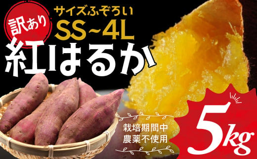 ≪訳あり≫ 栽培期間中農薬不使用 サツマイモ 6kg 紅はるか 無農薬 さつまいも サツマイモ キズアリ ワケアリ ワケアリ わけありさつまいも詰め合わせ 芋 いも 三重県 多気町 GE-02