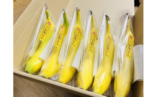 TF-01　平均糖度25度以上 国産 無農薬 皮ごと食べられる「ともいき伊勢バナナ」