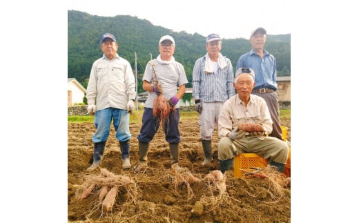 ≪訳あり≫ 栽培期間中農薬不使用 サツマイモ 5kg 紅はるか 無農薬 さつまいも サツマイモ ワケアリ ワケアリ わけありさつまいも詰め合わせ 芋 いも 三重県 多気町 GE‐01　