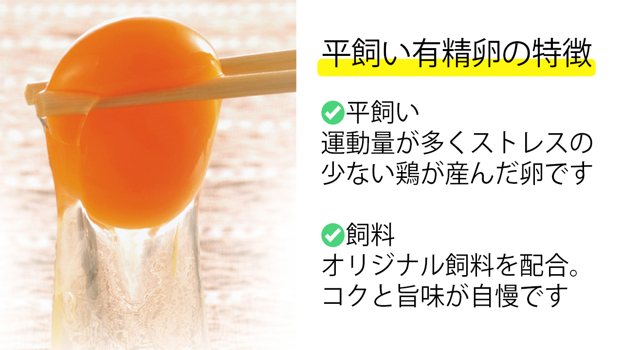 JK-05　【6ヶ月定期便】のびのび育ちの平飼い有精卵（30個×6ヶ月）