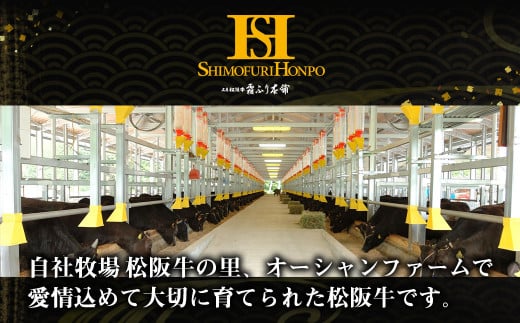 松阪牛サーロインステーキ約200ｇ×1枚【2025年6月より順次発送】 SS-106／ 国産牛 松阪牛 松坂牛 高級和牛 黒毛和牛 ブランド牛（ 近江牛 神戸牛 に並ぶ 日本三大和牛 ） 霜降り 冷凍 ふるさと納税 送料無料 牛肉 にく 大人気 贅沢 おすすめ 贈り物 リピート 瀬古食品 霜ふり本舗 三重県 多気町