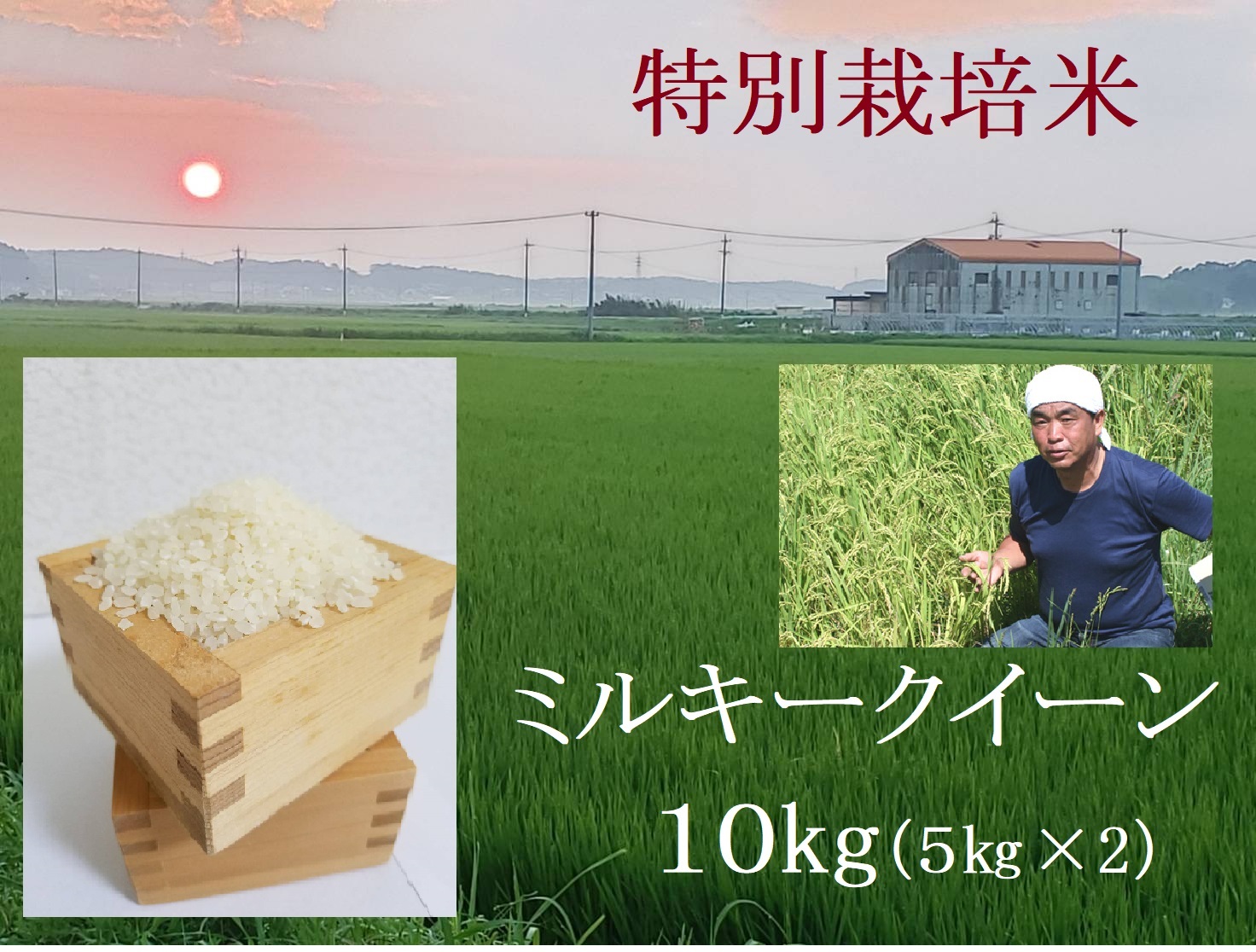 特別栽培米のミルキークイーン 5kg×2
