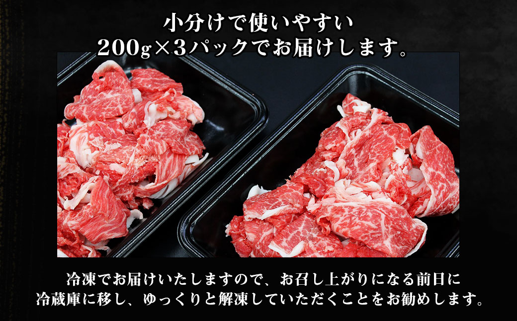 SS-405　松阪牛 小間切れ 600ｇ 家庭用 小分け 国産 肉