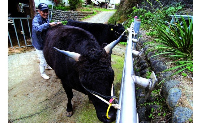 MC-03　特産松阪牛すき焼き用B