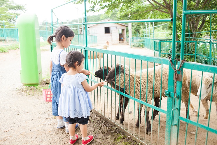 （7）子どもたちの笑顔あふれる未来に続く動物園再生プロジェクト
