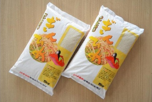 三重県産 コシヒカリ 「ぎんひめ」 精米 5kg×2袋（合計10kg）
