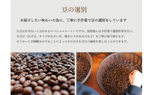 毎日のOTOMONI COFFEE ドリップバッグ 2種類詰め合わせ - ふるさと