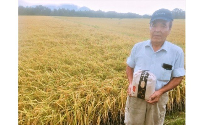 ◆農家直送 滋賀県高島市産 近江米 コシヒカリ 5kg× 2袋 精米済