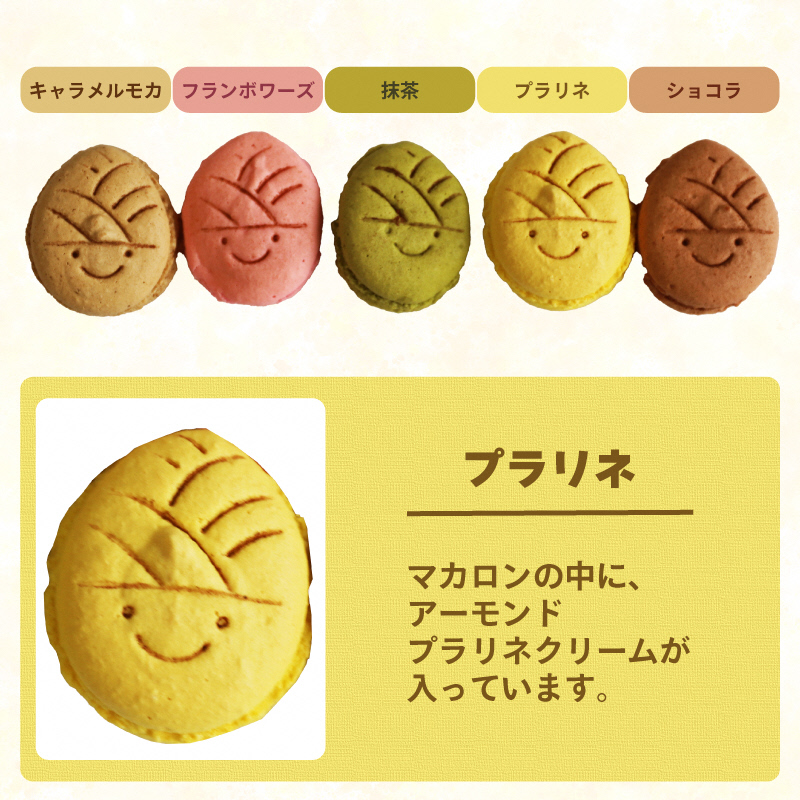 タケノコ戦隊マカロンジャー マカロン 5色 1箱 化粧箱入り｜デザート スイーツ 焼き菓子 たけのこ タケノコ たけのこマカロン ご当地 京都 長岡京 長岡京市 [1484]