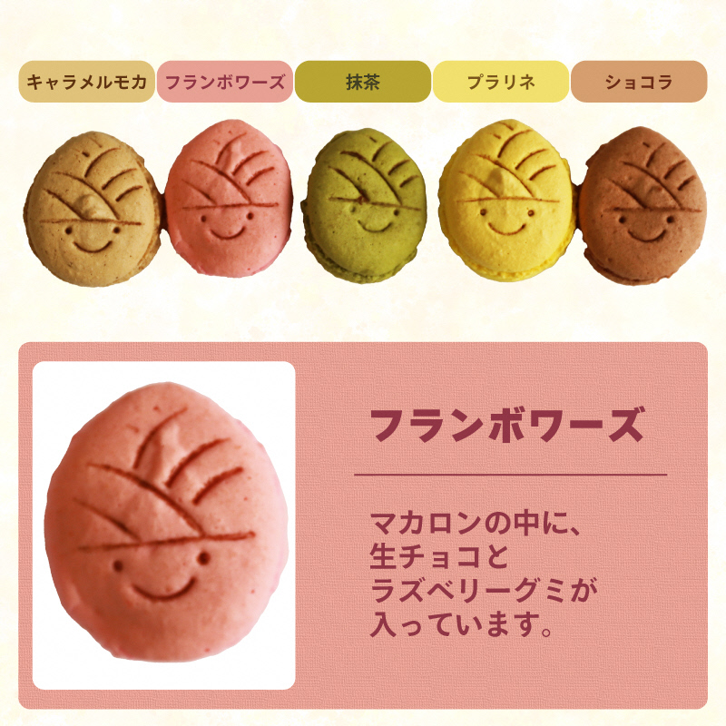 タケノコ戦隊マカロンジャー マカロン 5色 3箱 化粧箱入り｜デザート スイーツ 焼き菓子 マカロン たけのこ タケノコ たけのこマカロン ご当地 京都 長岡京 長岡京市 [1486]