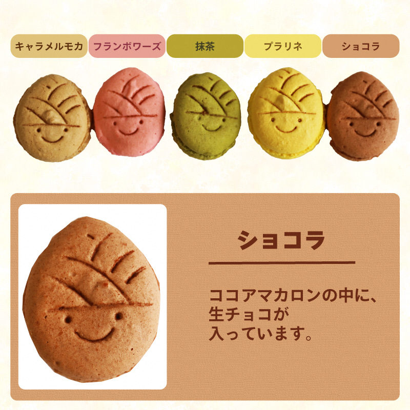 タケノコ戦隊マカロンジャー マカロン 5色 2箱 化粧箱入り｜デザート スイーツ 焼き菓子 たけのこ タケノコ たけのこマカロン ご当地 京都 長岡京 長岡京市 [1485]