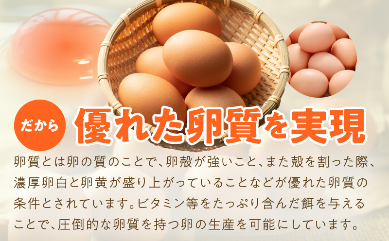 【定期便】とことん餌にこだわった “戸野さん家のこだわりタマゴ” とのたま (計180個・30個×全6回）【毎月配送コース】 099Z163