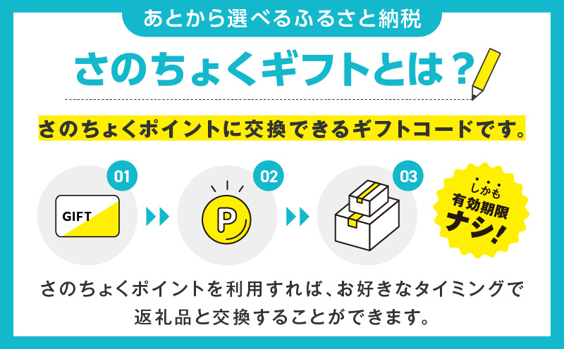 あとから選べる！カタログギフト（寄附100,000円コース）約3,000品掲載 大阪府泉佐野市【さのちょくギフト あとからセレクト 肉 牛たん ビール 酒 かに サーモン 米 野菜 定期便 魚介 海産物 おせち うなぎ 日用品 タオル ゴルフなど】 sn024