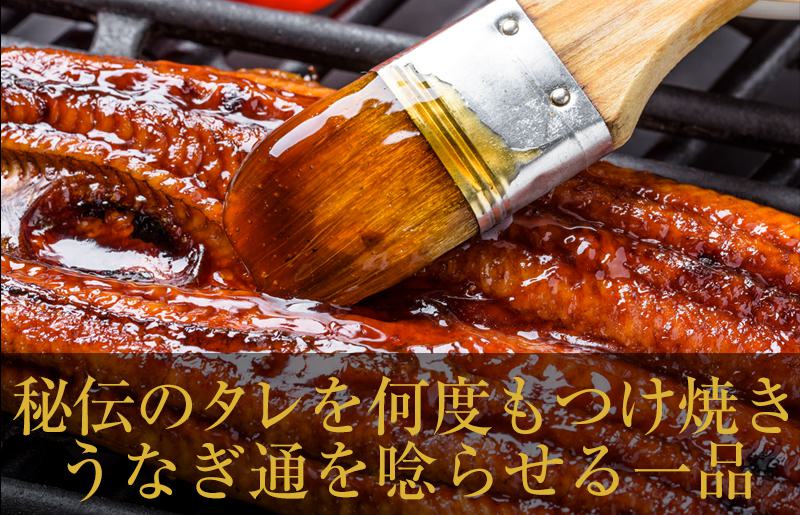 国産うなぎ ハーフカット 合計 200g 秘伝のたれ 蒲焼 訳あり 鰻 ウナギ 無頭 炭火焼き 備長炭 手焼き 099H2639