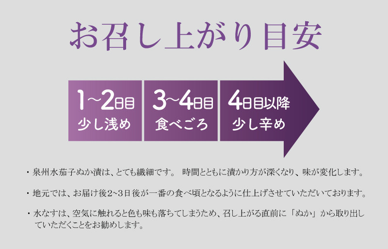 【先行予約】特選水なす浅漬け6個入 010B1038