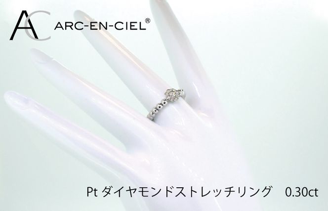 ARC-EN-CIEL PTダイヤリング（計0.3ct） J027