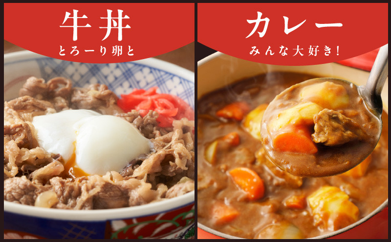 【TVで紹介されました！】国産牛 切り落とし 1.2kg 小分け 300g×4P【国産 牛肉 氷温熟成×極味付け 訳あり サイズ不揃い カレー 牛丼 野菜炒め 肉じゃが 家計応援】 mrz0006