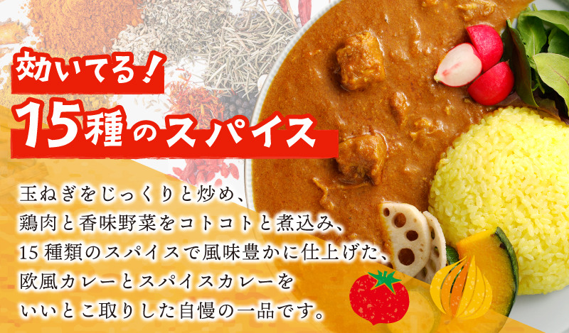 【年内発送】SONカフェ特製カレー 200g×5 冷凍 簡単調理 15種スパイス 泉州野菜使用 いずみピクルス NSW スピード発送【特別寄附金額】 G1455