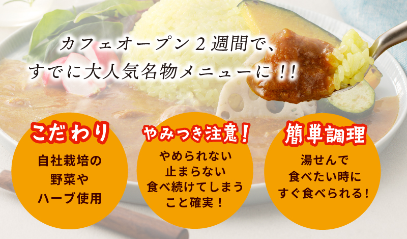 【年内発送】SONカフェ特製カレー 200g×5 冷凍 簡単調理 15種スパイス 泉州野菜使用 いずみピクルス NSW スピード発送【特別寄附金額】 G1455