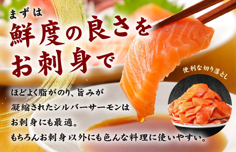 【便利でおいしい】サーモン 切り落とし 900g 小分け 300g×3 訳あり サイズ不揃い 刺身 海鮮丼 サラダ カルパッチョ 010B1495