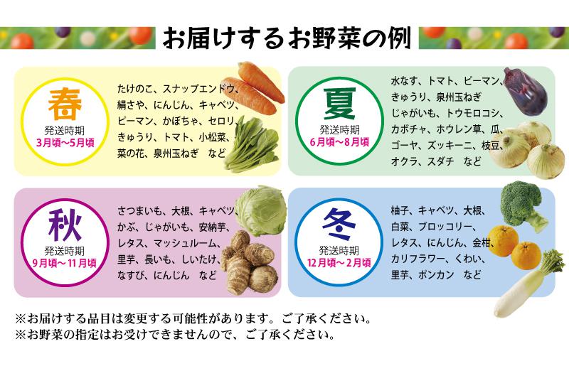 旬の野菜セット 詰め合わせ 15種類 国産 新鮮 お試し おまかせ お楽しみ 010B507