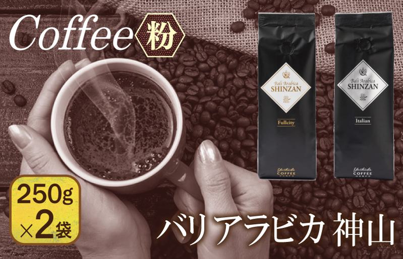 バリ・アラビカ神山（フルシティ・イタリアン）＜粉＞250g×2袋 【珈琲 こーひー コーヒー 自家焙煎 オリジナル ギフト キャンプ アウトドア 家計応援】 099H1840