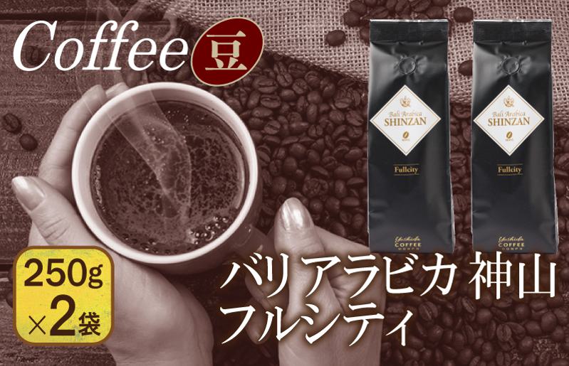 バリアラビカ神山フルシティ　250g×2袋／豆 【珈琲 こーひー コーヒー 自家焙煎 オリジナル ギフト キャンプ アウトドア 家計応援】 099H1850