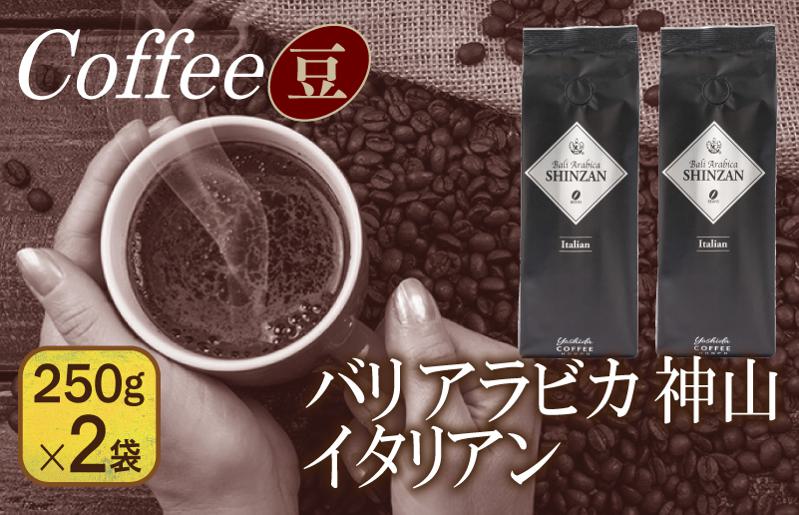 バリアラビカ神山イタリアン　250g×2袋／豆 【珈琲 こーひー コーヒー 自家焙煎 オリジナル ギフト キャンプ アウトドア 家計応援】 099H1852