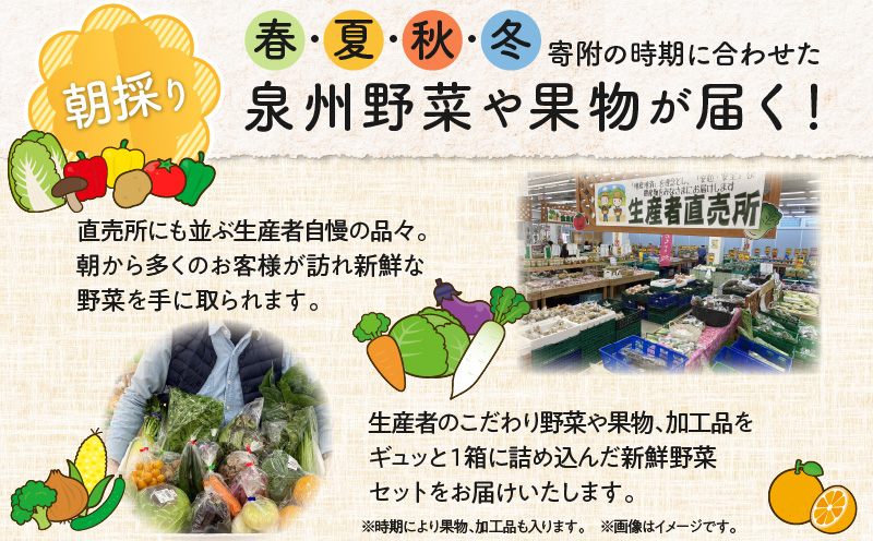 泉州野菜 定期便 全3回 15種類以上 詰め合わせ 国産 新鮮 冷蔵【毎月配送コース】 099Z114