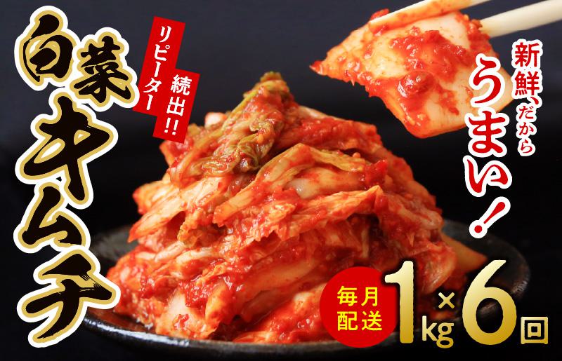 定期便 白菜キムチ 1kg × 6回 大好評 韓国【毎月配送コース】 099Z247