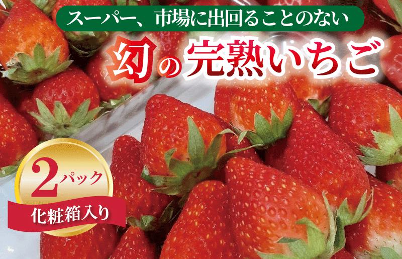 【先行予約】 朝摘み完熟いちご 2パック化粧箱入り G1491